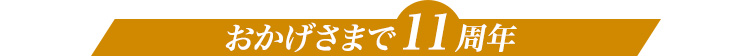おかげさまで11周年